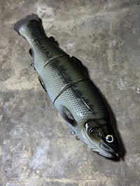 Image 2 of Immortal Trout 9.9 “Bass”