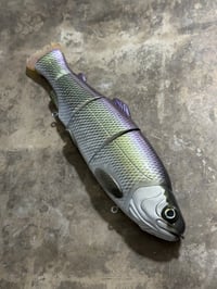 Image 2 of Immortal Trout 9.9 “Galaxy Shad”
