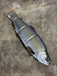 Image 1 of Immortal Trout 9.9 “Galaxy Shad”