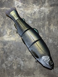 Image 4 of Immortal Trout 9.9 “Galaxy Shad”