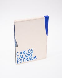 Image 4 of MSLLDLSLMTS (6/8/2-30) — Mas Allá de los Límites - Original cyanotype | PICA