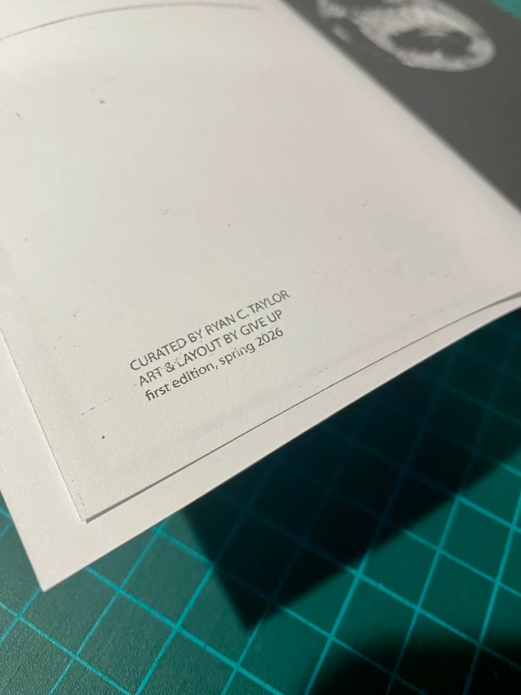 Image of STOMPING THROUGH THE NEW WAVE VOL. II book