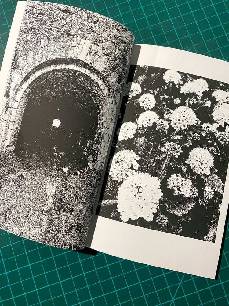 Image of STOMPING THROUGH THE NEW WAVE VOL. II book