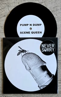 Image 2 of PUMP N DUMP 7"