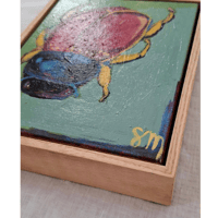 Image 2 of Lucky Beetle