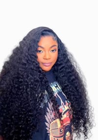 Image 1 of THE SIGNATURE BURMESE CURL