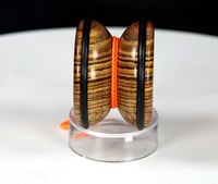 Image 3 of Mexican Bocote yo-yo, #2026-078