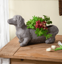Image 6 of  Dachshund Planter