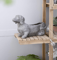 Image 8 of  Dachshund Planter