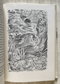 Image 4 of The Water Babies by Charles Kingsley