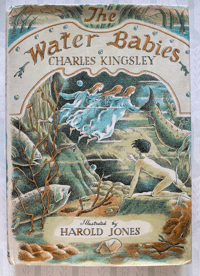 Image 1 of The Water Babies by Charles Kingsley