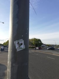 Image 2 of **LAST PACK** Pack of 25 7x7cm Shamrock Rovers Football/Ultras Stickers
