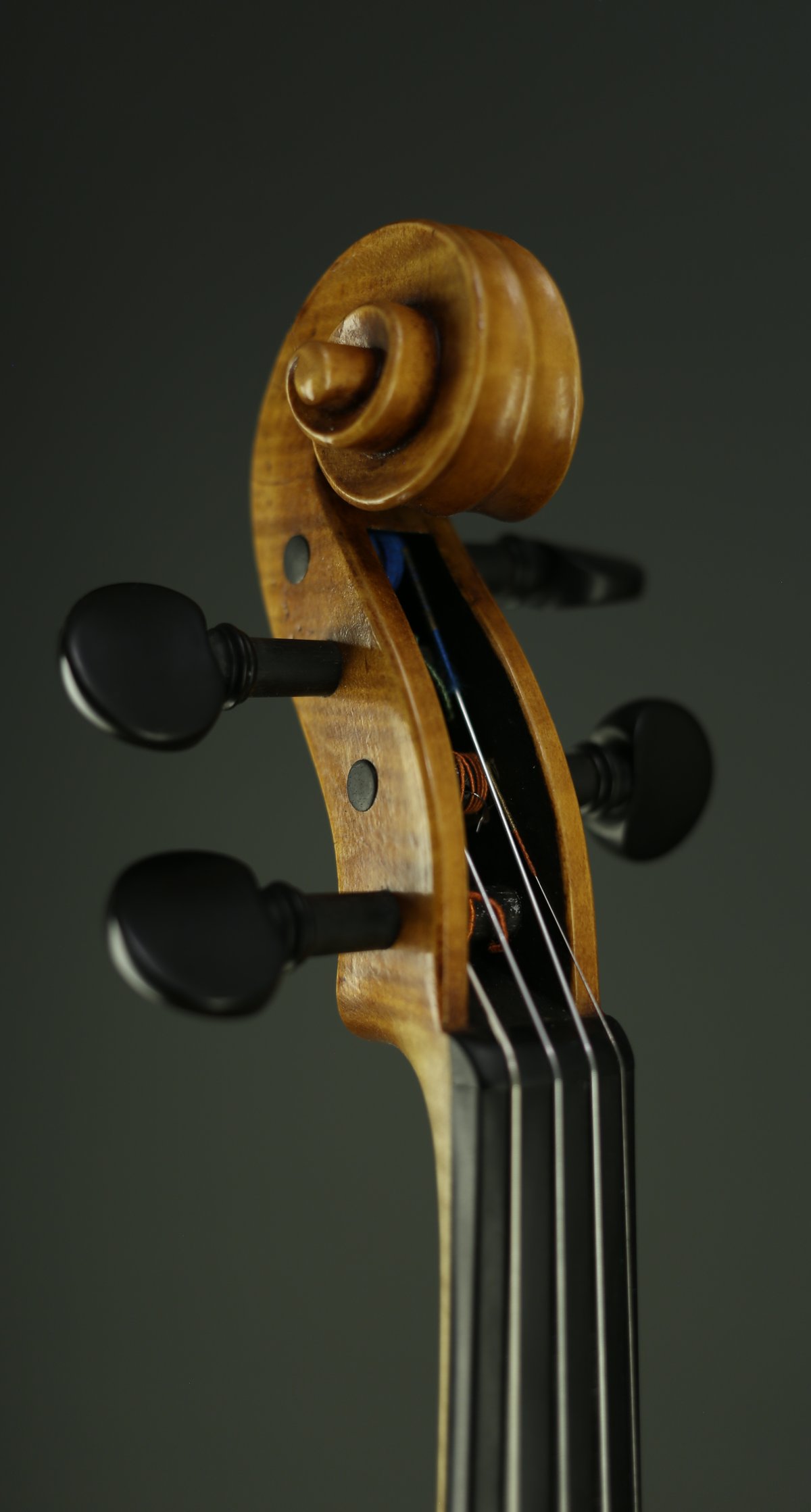 Image of Violine "Alesund"