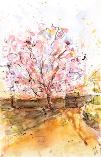 Image 1 of  Magnolia for the Gardener, Minterne Gardens - Fine Art Print