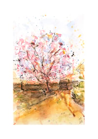 Image 4 of  Magnolia for the Gardener, Minterne Gardens - Fine Art Print