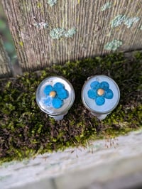 Image 1 of Children's Clip On Earrings