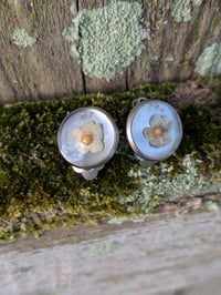 Image 3 of Children's Clip On Earrings
