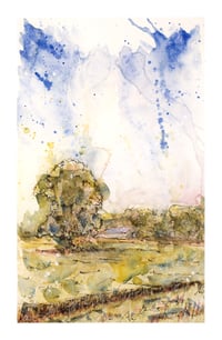 Image 1 of The Evening Tree, Minterne Magna - Fine Art Print