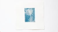 Image 1 of Thistle 01