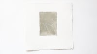 Image 1 of Sweat Pea 01
