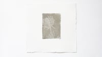 Image 1 of Thistle 03