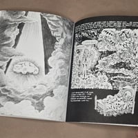Image 2 of The Resurrection of Low-Down Coyote by NIck Bunch