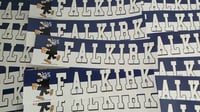 Image 2 of Pack of 25 16x4cm Falkirk Football/Ultras Stickers.