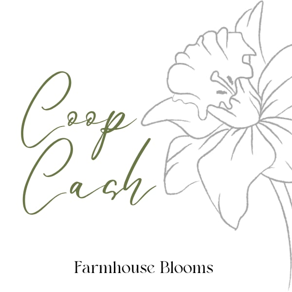 Image of Coop Cash 