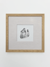 Image 1 of Huddle