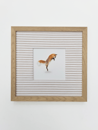 Image 1 of Leap