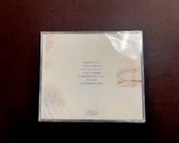 Image 3 of A Knife in the Dark - Songs Without Witness LP/CD/CS