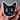 four-eyed cat 