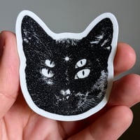 Image 1 of four-eyed cat 