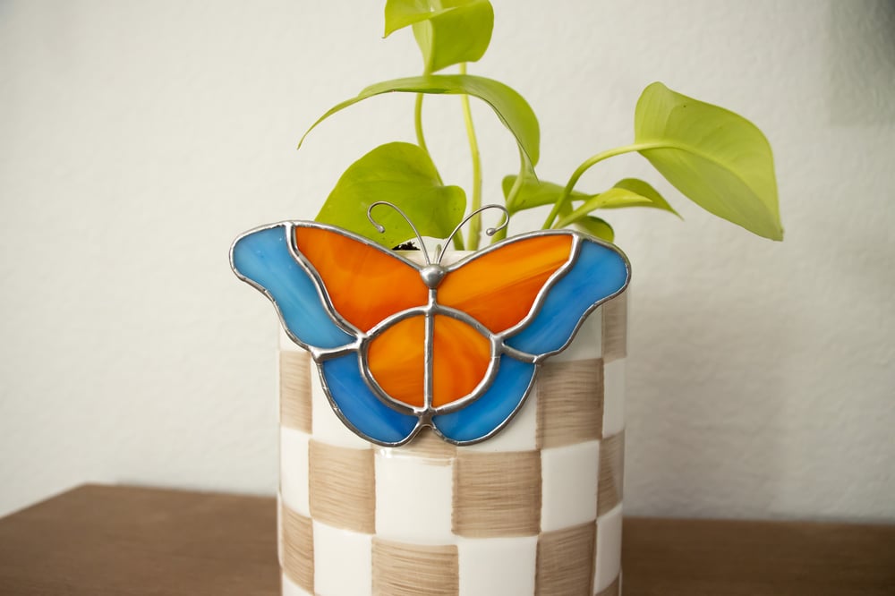 Image of Colorful Butterfly Plant Huggers