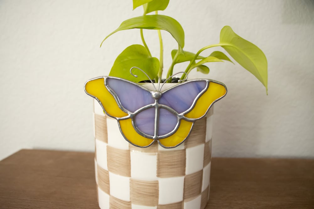 Image of Colorful Butterfly Plant Huggers