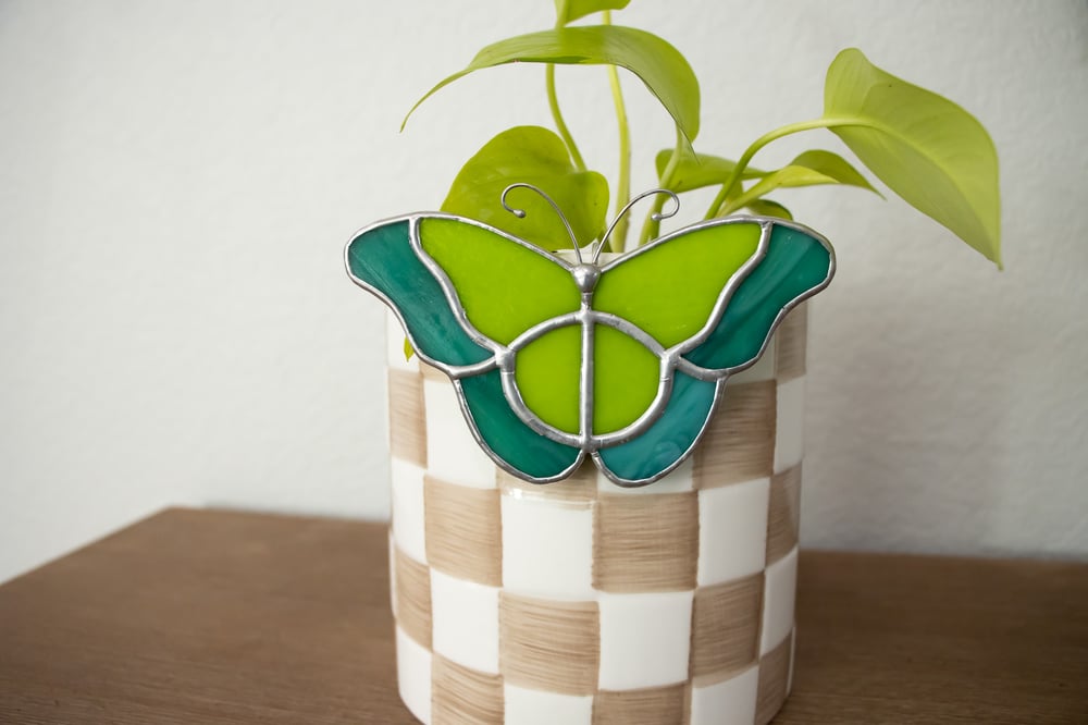 Image of Colorful Butterfly Plant Huggers