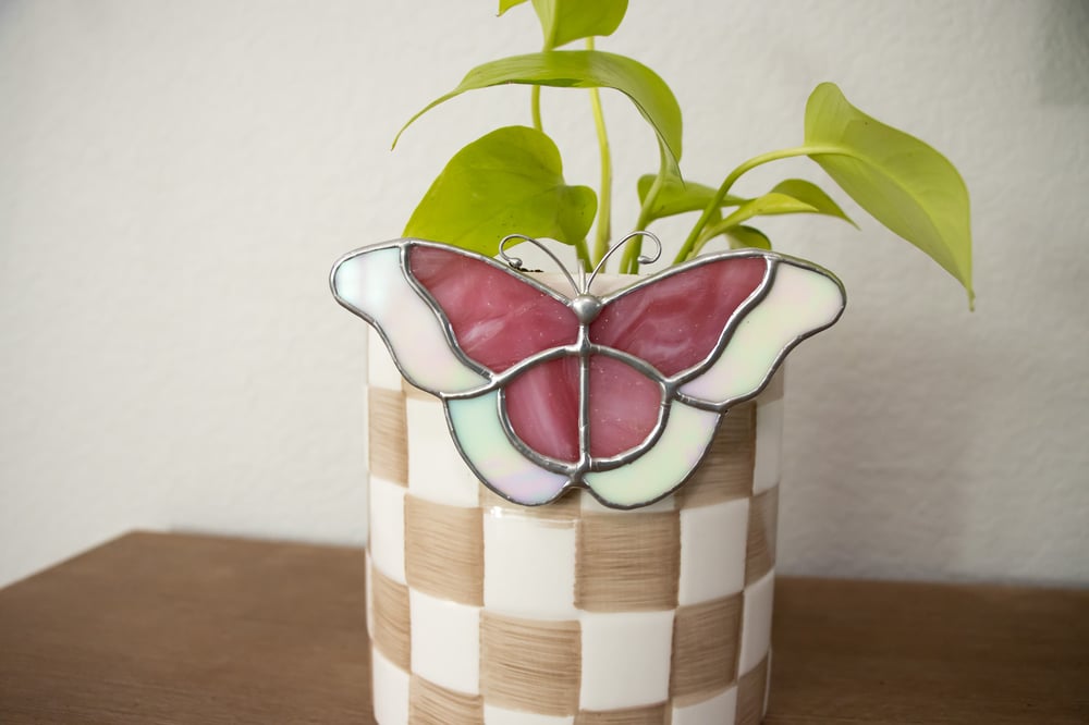 Image of Colorful Butterfly Plant Huggers