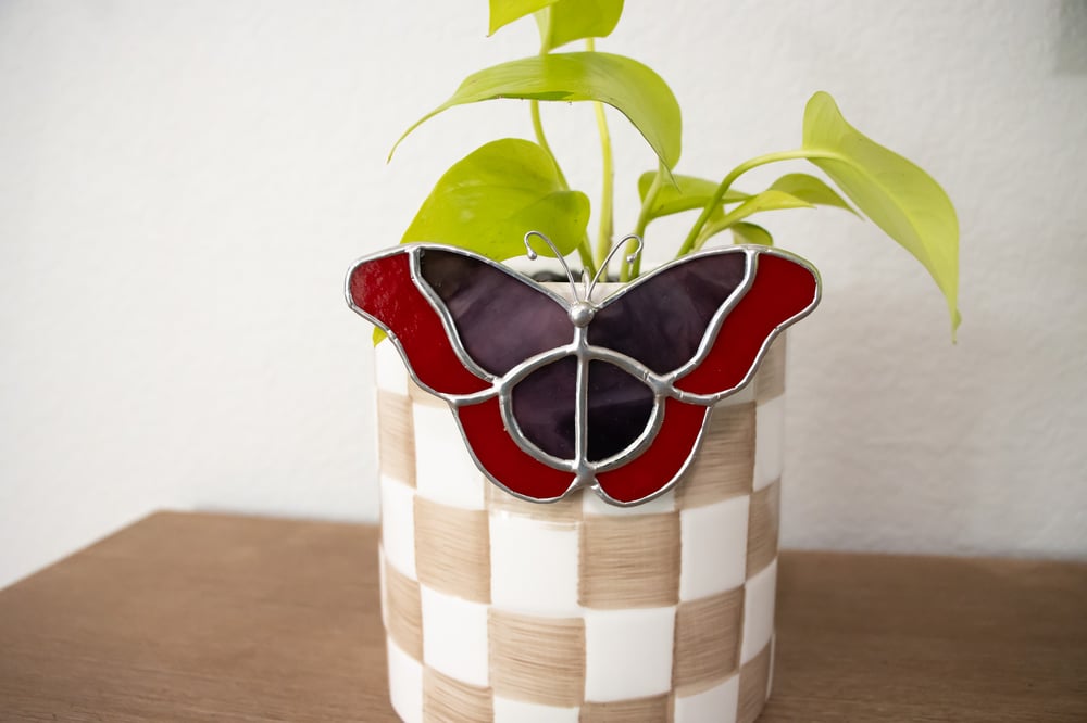 Image of Colorful Butterfly Plant Huggers