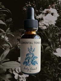Holy Basil