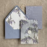 Image 7 of Wisteria floral printed vellum wraps + envelope liners PACK of 10