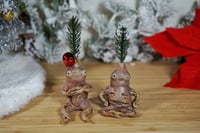 Image 3 of Pine Tree Mandrakes