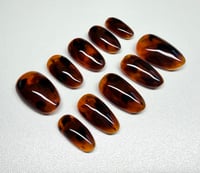 Image 2 of Classic Tortoiseshell Archive 