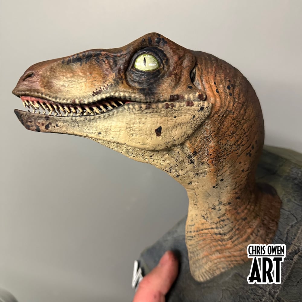 Jurassic Park - Velociraptor Nublarensis Bust