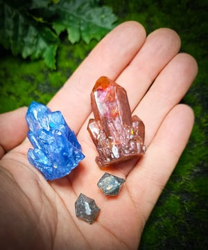 Gemscout Furrae 
