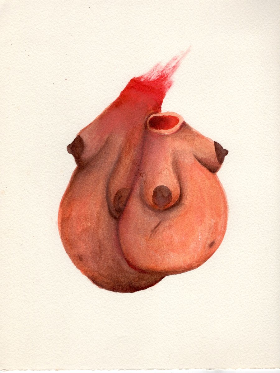 Image of IGNAXIA