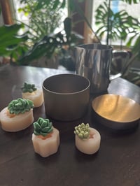 Image 4 of Candle Making Class: Candles & Char-Cutie July 30th 2026