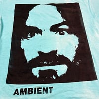 Image 2 of ambient a 