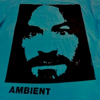 Image 2 of ambient b 