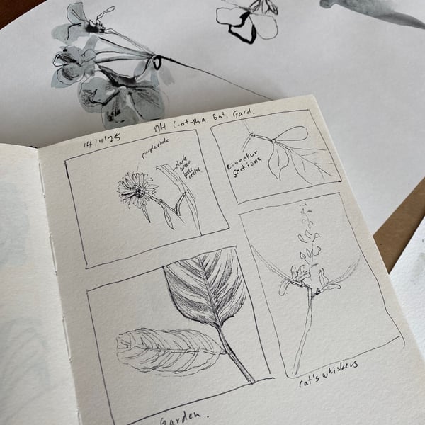 Image of Tim - Drawing Flowers workshop 