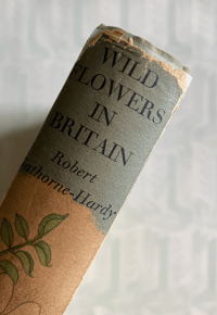 Image 5 of Wild Flowers in Britain Robert Gathorne-Hardy